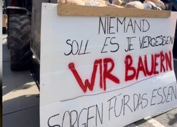 Traktori osvojili Beč: Hiljade seljaka blokirali centar