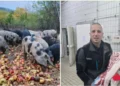 Svinje na jabukama i lubenicama: Markove delikatese traže i ambasade