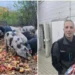 Svinje na jabukama i lubenicama: Markove delikatese traže i ambasade