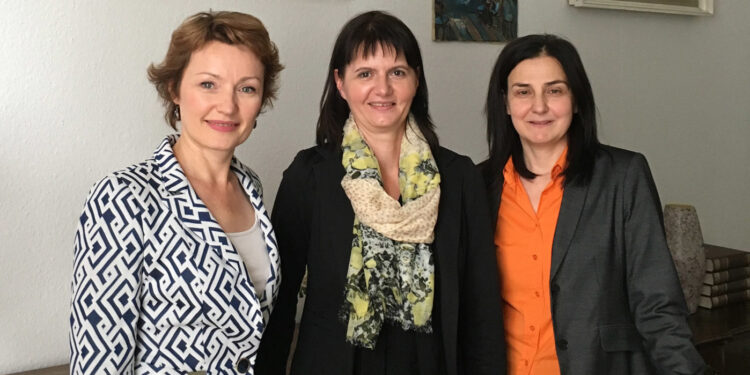 Stigla nova profesorka
