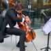 Violončelo ili raznošenje paketa