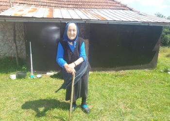 Humanost bez granica