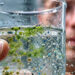 Narandžaste alge koje gutaju plastiku