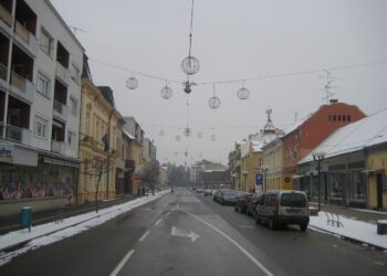 „Slovenija želi Srbiju u EU, ja govorim srpski u Briselu“