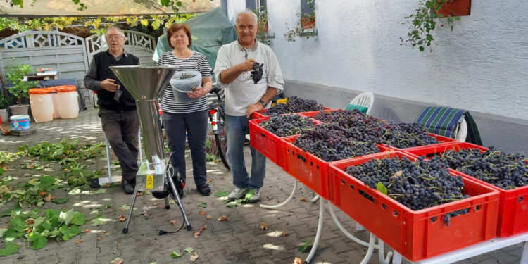Vajden miriše na tamjaniku