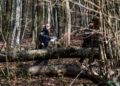 Drvo palo na grupu planinara u Švajcarskoj: Jedna osoba stradala, dete povređeno