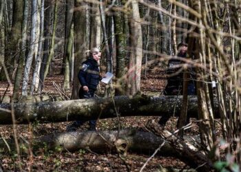 Drvo palo na grupu planinara u Švajcarskoj: Jedna osoba stradala, dete povređeno