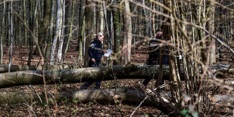 Drvo palo na grupu planinara u Švajcarskoj: Jedna osoba stradala, dete povređeno