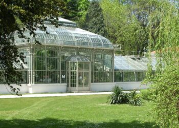 Jevremovac ponovo postaje vinska oaza: Wine Garden okuplja ljubitelje dobrog ukusa
