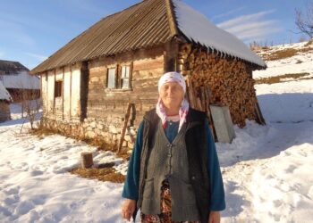 Feha platila struju, Stana kupila lekove