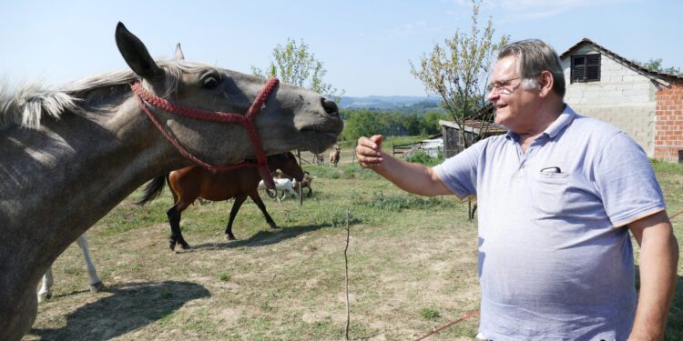 Dragosti moja, najlepše je u zavičaju