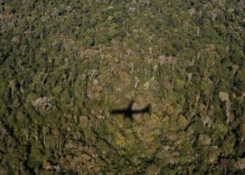 Pao avion u Nju Meksiku: Više ljudi poginulo