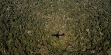 Pao avion u Nju Meksiku: Više ljudi poginulo