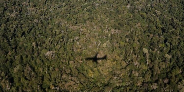 Pao avion u Nju Meksiku: Više ljudi poginulo