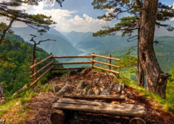 Srbija obara turističke rekorde: Više od 2,6 miliona noćenja za samo tri meseca