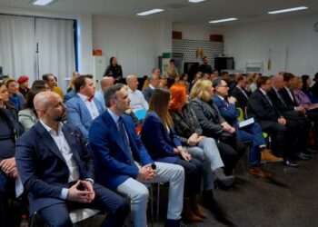 Važno jačanje veza matice i dijaspore