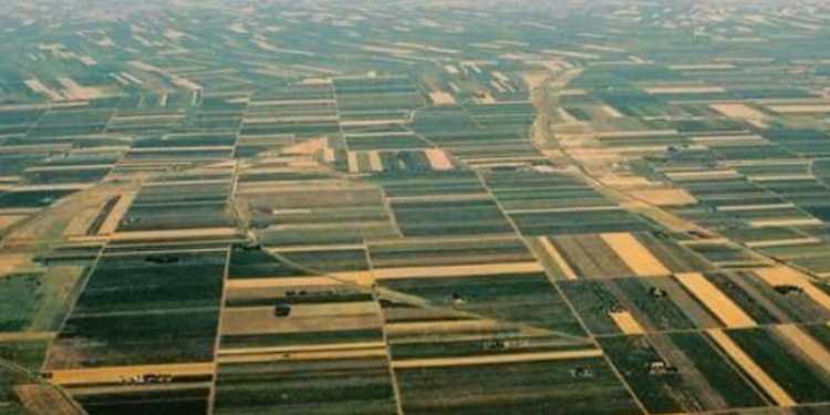 Pogubna eksploatacija oranica u Vojvodini