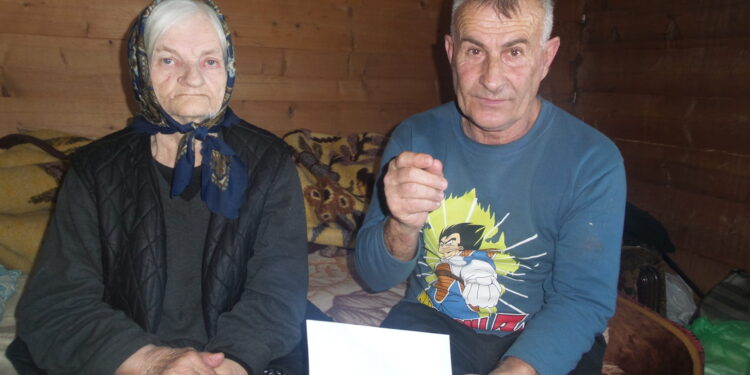 Velika pomoć nepokretnoj baki