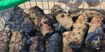 Nasleđe rata u Jadranu: Kod Pule izvađene bombe iz Drugog svetskog rata