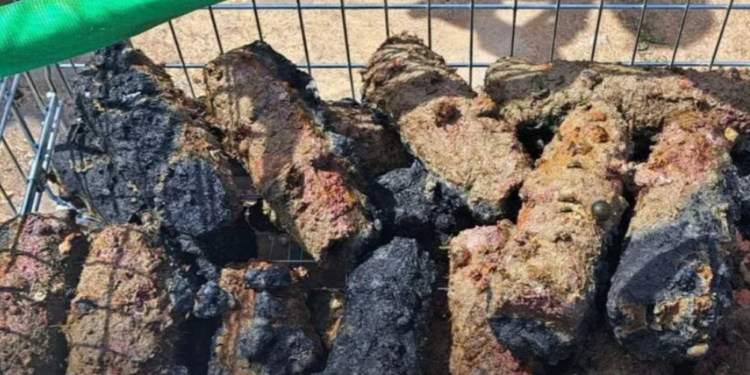 Nasleđe rata u Jadranu: Kod Pule izvađene bombe iz Drugog svetskog rata