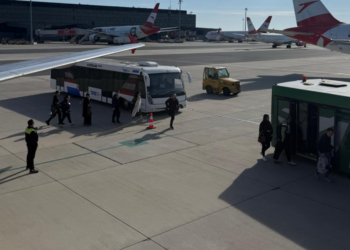 Austrija u panici zbog hantavurusa: Stručnjaci smiruju situaciju