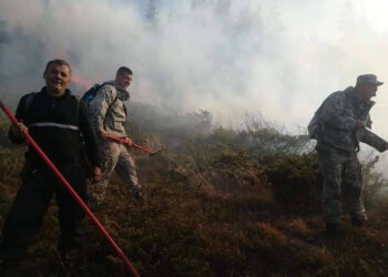 Stara planina: Ugašen požar ispod Tri čuke, gori još u širem rejonu Toplog Dola