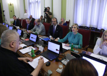 Fabrici: Srbija napredovala ekonomski, pojačati reforme demokratije i vladavine prava
