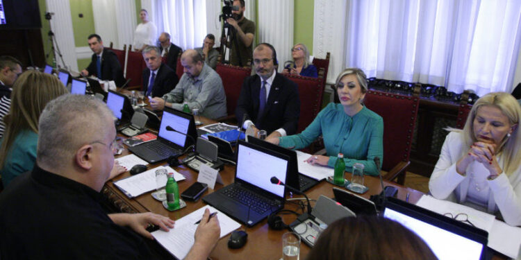 Fabrici: Srbija napredovala ekonomski, pojačati reforme demokratije i vladavine prava