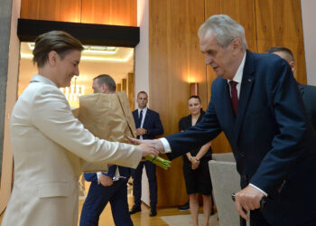 Brnabić i Zeman o odnosima dve zemlje i privrednoj saradnji