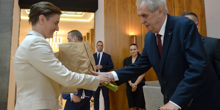 Brnabić i Zeman o odnosima dve zemlje i privrednoj saradnji