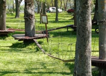Letnji kampovi za dijasporu u Smederevu, Velikoj Plani i Petrovcu okupljaju mlade iz 9 država