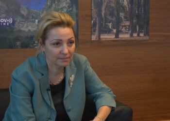 Apostolova: Što pre formirati novu Vladu Kosova i nastaviti dijalog sa Srbijom