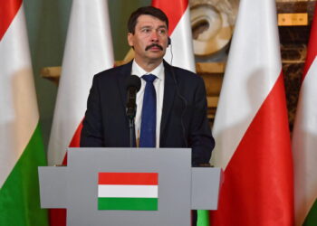 Ader i Vučić sutra otkrivaju spomenik Janku Sibinjaninu
