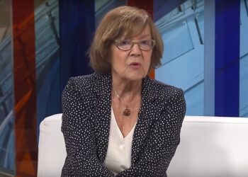 Tužilaštvo ispituje sporne navode tvita Vesne Pešić