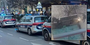 Policija sumnja na klanski obračun nakon brutalnog napada u Beču