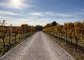 Srbija i Češka jačaju agro partnerstvo: Najavljena nova ulaganja i projekti