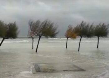 Lete stabla i kontejneri: Srbija na udaru košave, Split pod vodom (VIDEO)
