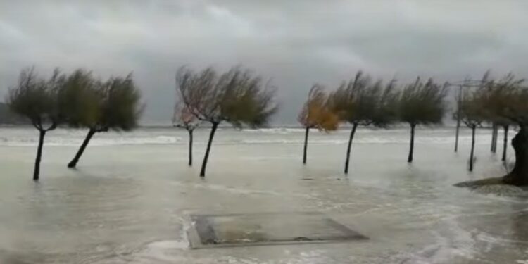 Lete stabla i kontejneri: Srbija na udaru košave, Split pod vodom (VIDEO)