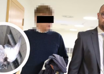 Bivši vojnik u Beču pucao na ptice se balkona: Umesto na glinene golubove, pucao na žive