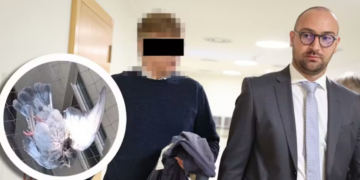 Bivši vojnik u Beču pucao na ptice se balkona: Umesto na glinene golubove, pucao na žive