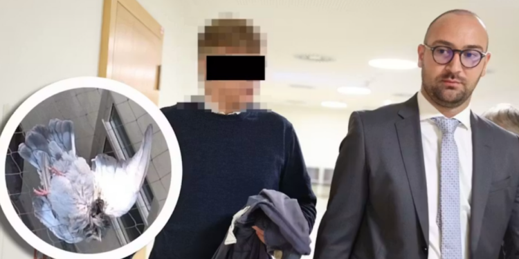 Bivši vojnik u Beču pucao na ptice se balkona: Umesto na glinene golubove, pucao na žive