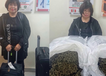 Droga u prtljagu starice (63): Pala sa 31 kilogramom kanabisa