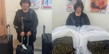 Droga u prtljagu starice (63): Pala sa 31 kilogramom kanabisa