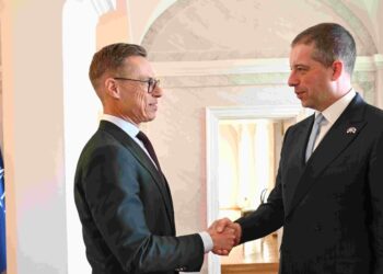 Ministar Đurić sa predsednikom Finske o ekonomiji i bezbednosti