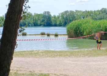 Alarm u Beču: Toksične plave alge na kupalištu u jezeru opasne po ljude i pse!