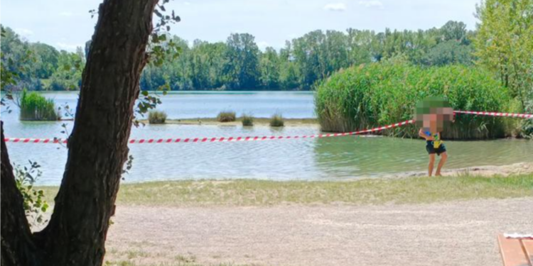 Alarm u Beču: Toksične plave alge na kupalištu u jezeru opasne po ljude i pse!