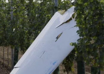 Tragedija u Austriji: Lekar i IT preduzetnik stradali u sudaru aviona