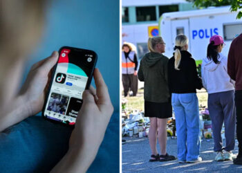 Posle ubistva u švedskoj školi usledio digitalni užas: Napadača pretvaraju u idola